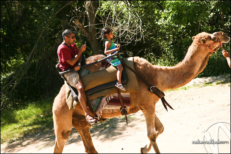 chicago wedding photography - family vacation in wisconsin dells, wisconsin