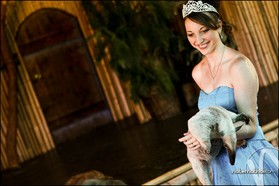 chicago wedding photography - family vacation in wisconsin dells, wisconsin