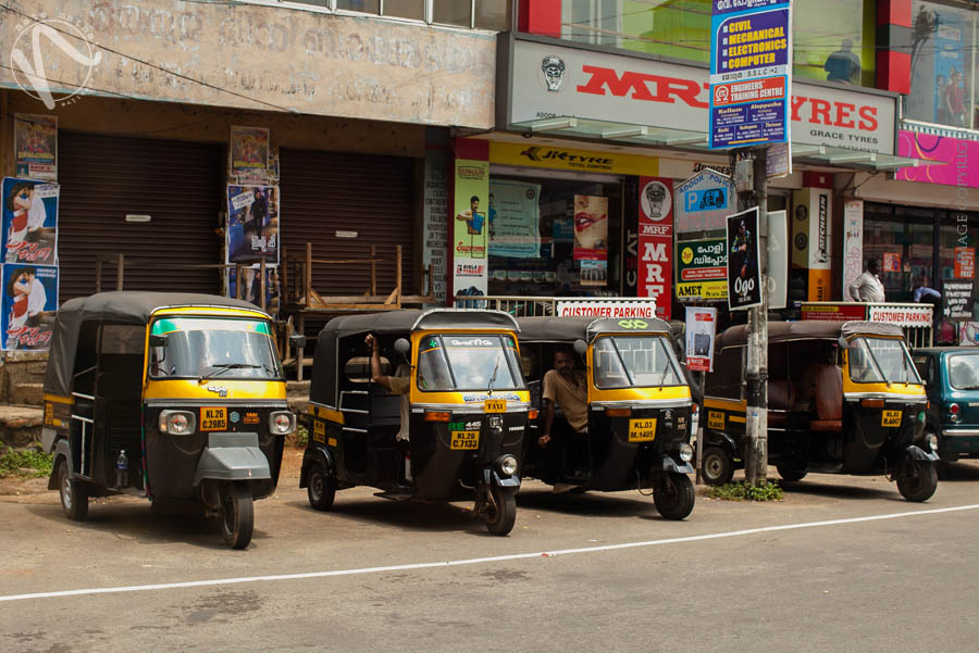 chicago wedding photography images | landscape, munnar, people