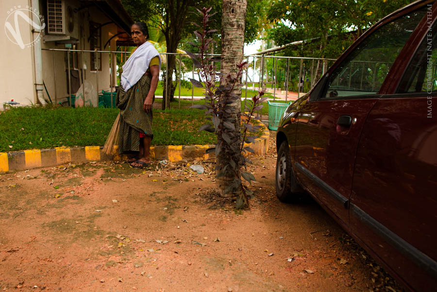 chicago wedding photography images | kerala, street photography, tea estates