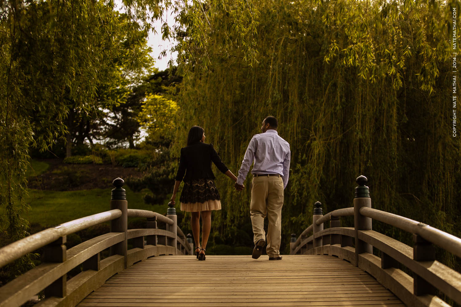 top image for Nisha and Roji’s Botanic Gardens Proposal by chicago wedding photographer nate mathai