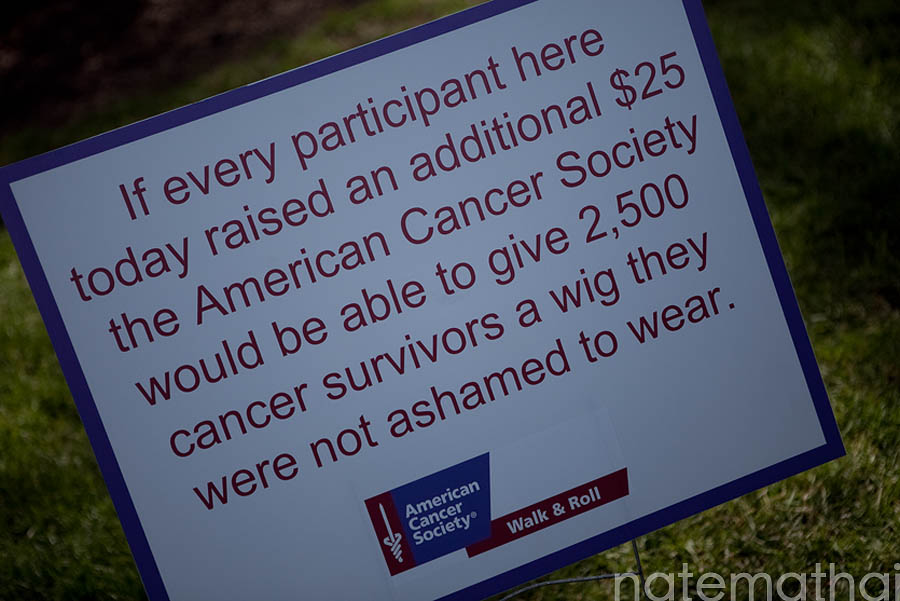 American Cancer Society Walk & Roll 2010 in Chicago, Illinois